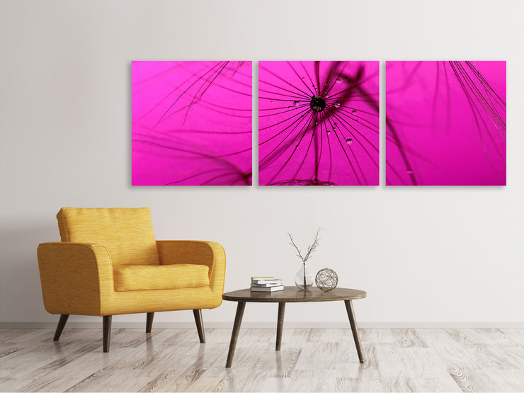 3 darab Vászonképek Panoramic Dandelion in pink