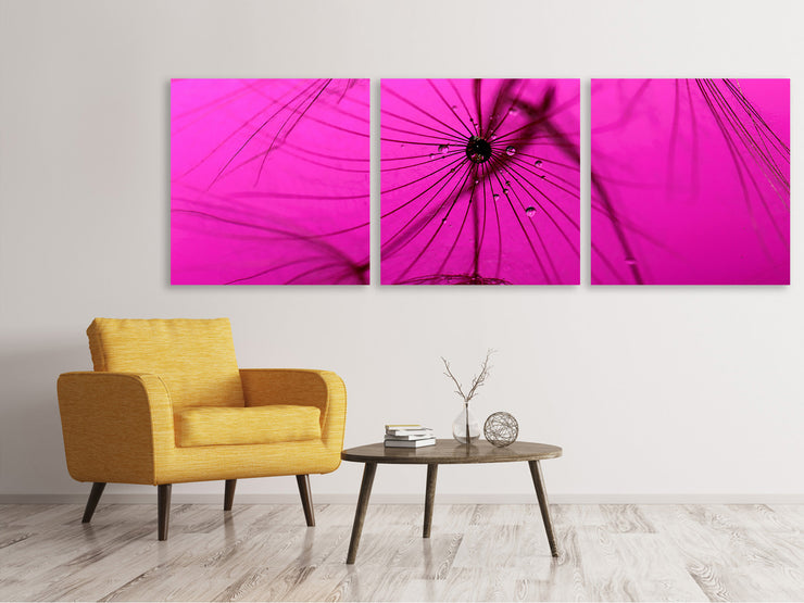 3 darab Vászonképek Panoramic Dandelion in pink