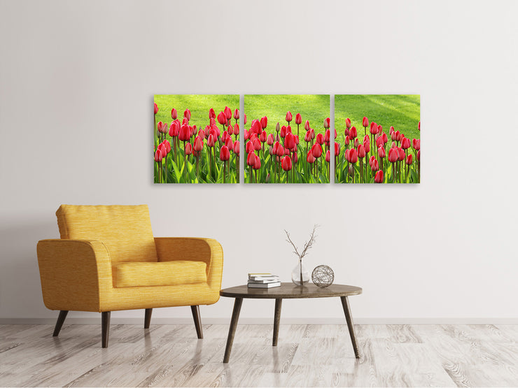 3 darab Vászonképek Panoramic Red tulip field in the sunlight