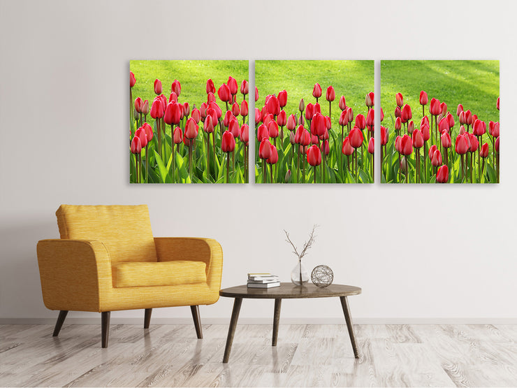 3 darab Vászonképek Panoramic Red tulip field in the sunlight