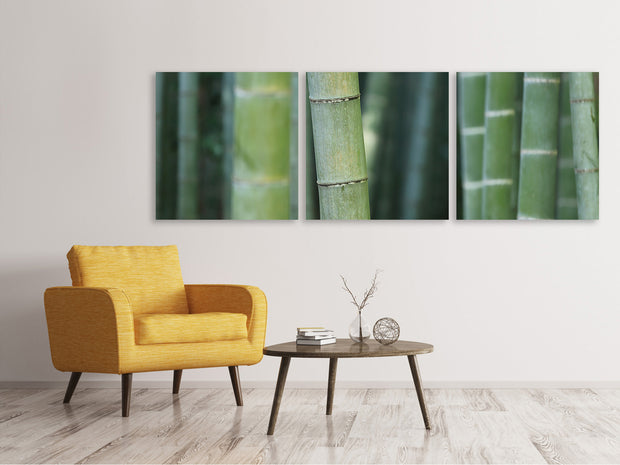 3 darab Vászonképek Panoramic Bamboo in XXL