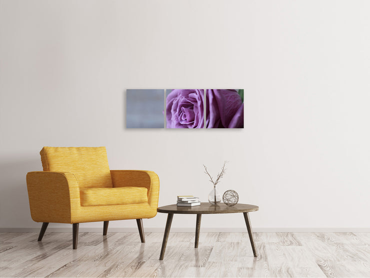 3 darab Vászonképek Panoramic Rose in purple XXL