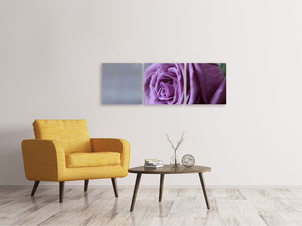 3 darab Vászonképek Panoramic Rose in purple XXL