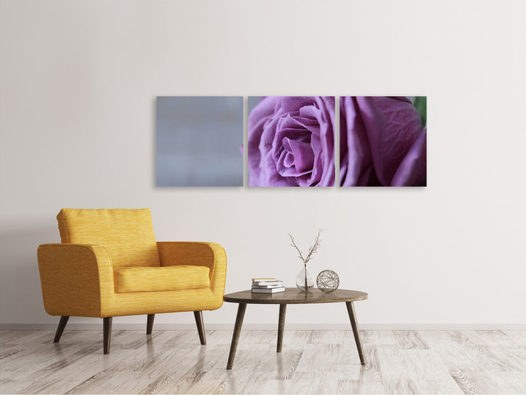 3 darab Vászonképek Panoramic Rose in purple XXL