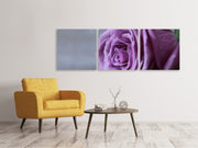 3 darab Vászonképek Panoramic Rose in purple XXL