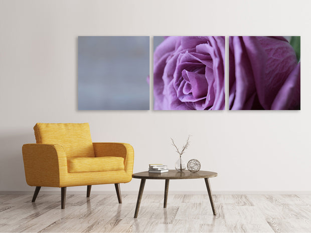 3 darab Vászonképek Panoramic Rose in purple XXL