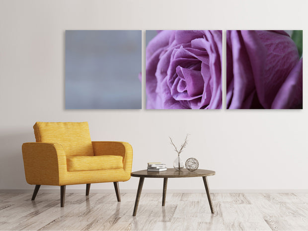 3 darab Vászonképek Panoramic Rose in purple XXL