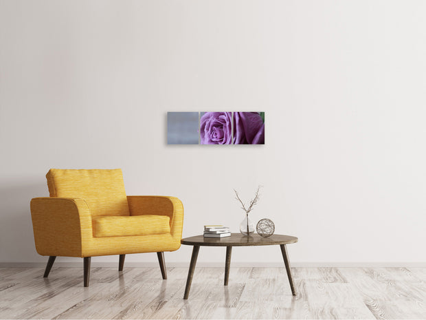 3 darab Vászonképek Panoramic Rose in purple XXL