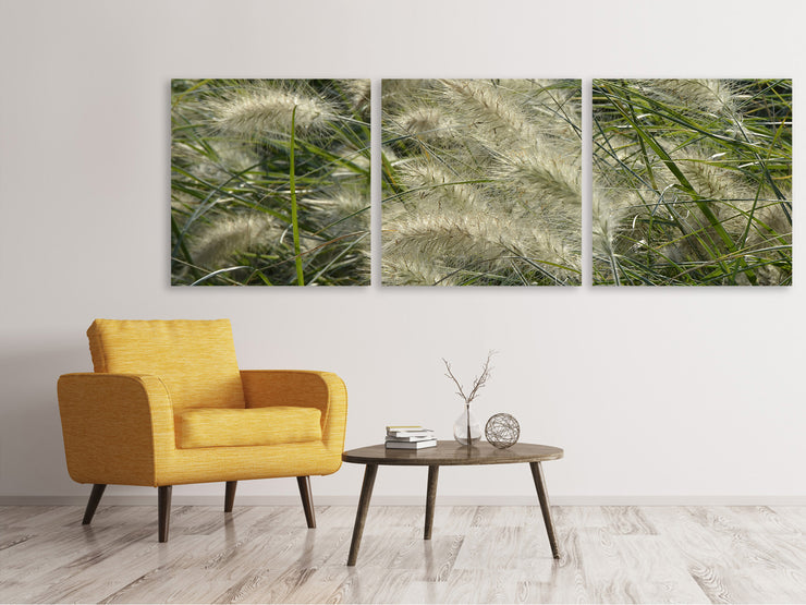 3 darab Vászonképek Panoramic Ornamental grass in the wind