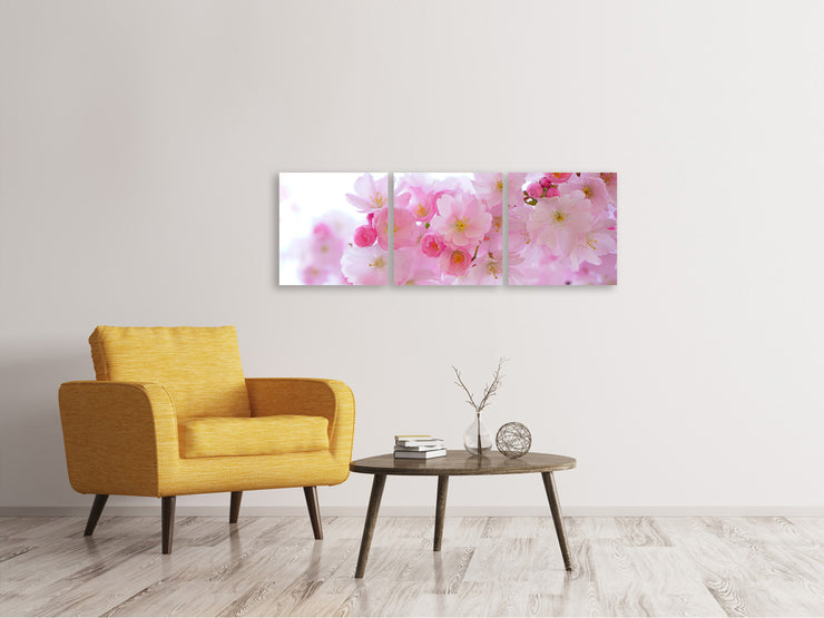 3 darab Vászonképek Panoramic Japanese cherry blossom XL