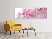 3 darab Vászonképek Panoramic Japanese cherry blossom XL