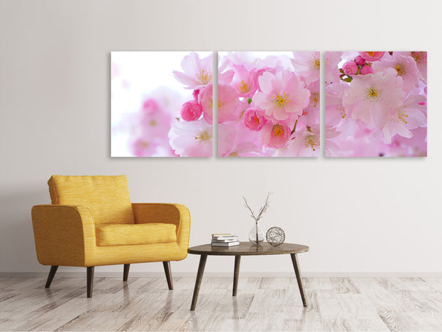 3 darab Vászonképek Panoramic Japanese cherry blossom XL