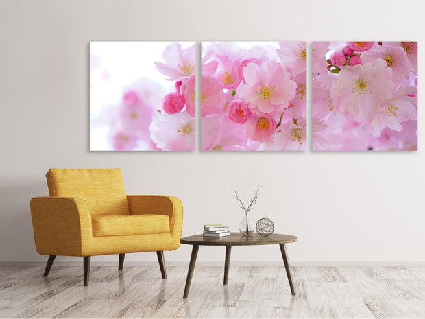 3 darab Vászonképek Panoramic Japanese cherry blossom XL