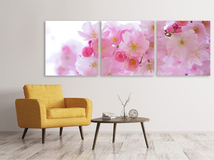 3 darab Vászonképek Panoramic Japanese cherry blossom XL