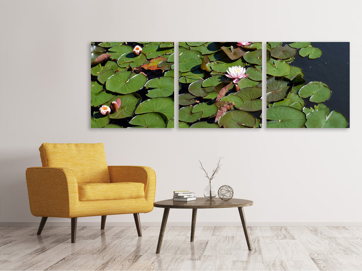 3 darab Vászonképek Panoramic White water lilies in the pond