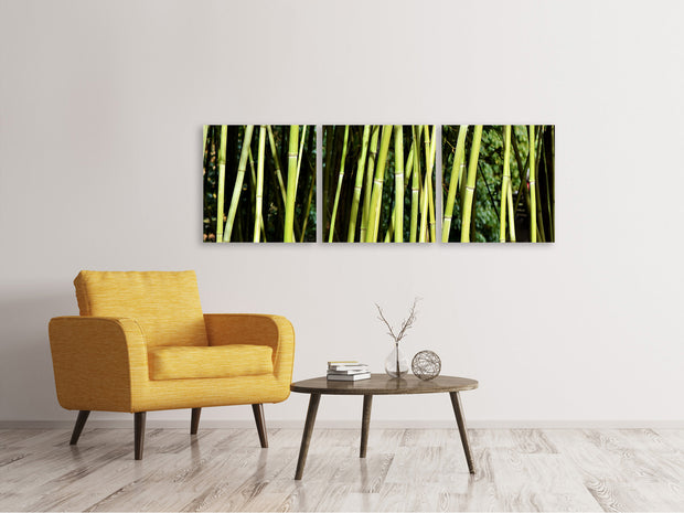 3 darab Vászonképek Panoramic Fresh bamboo