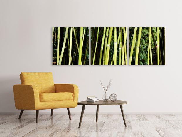 3 darab Vászonképek Panoramic Fresh bamboo