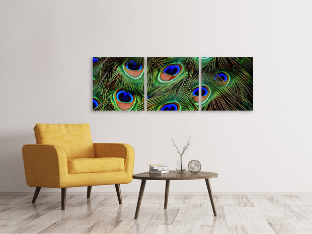 3 darab Vászonképek Panoramic Peacock feathers XXL