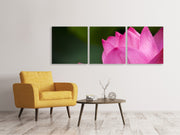 3 darab Vászonképek Panoramic Marko Lotus in pink