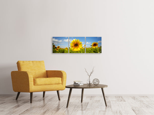 3 darab Vászonképek Panoramic Summer Sunflowers