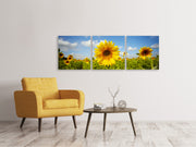 3 darab Vászonképek Panoramic Summer Sunflowers