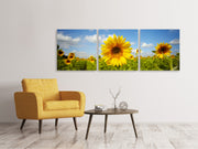 3 darab Vászonképek Panoramic Summer Sunflowers