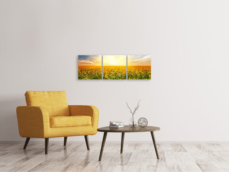 3 darab Vászonképek Panoramic A Field Full Of Sunflowers