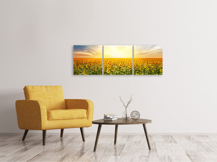 3 darab Vászonképek Panoramic A Field Full Of Sunflowers