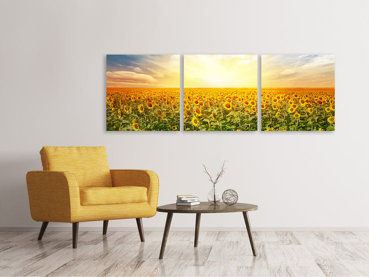 3 darab Vászonképek Panoramic A Field Full Of Sunflowers