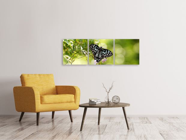 3 darab Vászonképek Panoramic Papilio Butterfly XXL