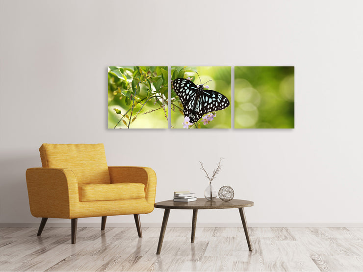 3 darab Vászonképek Panoramic Papilio Butterfly XXL