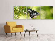 3 darab Vászonképek Panoramic Papilio Butterfly XXL