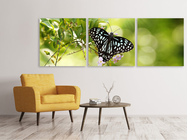 3 darab Vászonképek Panoramic Papilio Butterfly XXL