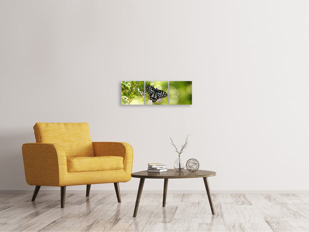 3 darab Vászonképek Panoramic Papilio Butterfly XXL