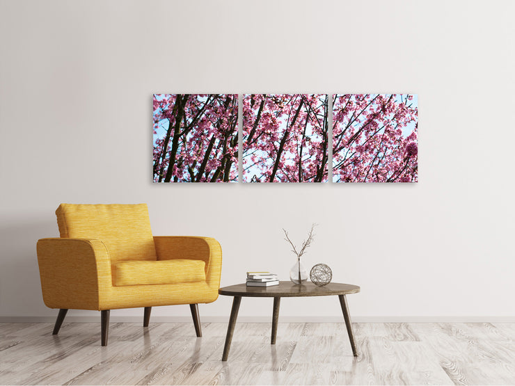 3 darab Vászonképek Panoramic Japanese Cherry Blossom