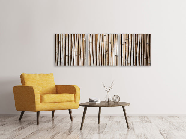 3 darab Vászonképek Panoramic Dried Bamboos