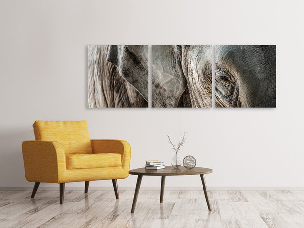 3 darab Vászonképek Panoramic Close Up Elephant