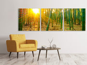 3 darab Vászonképek Panoramic Bamboos