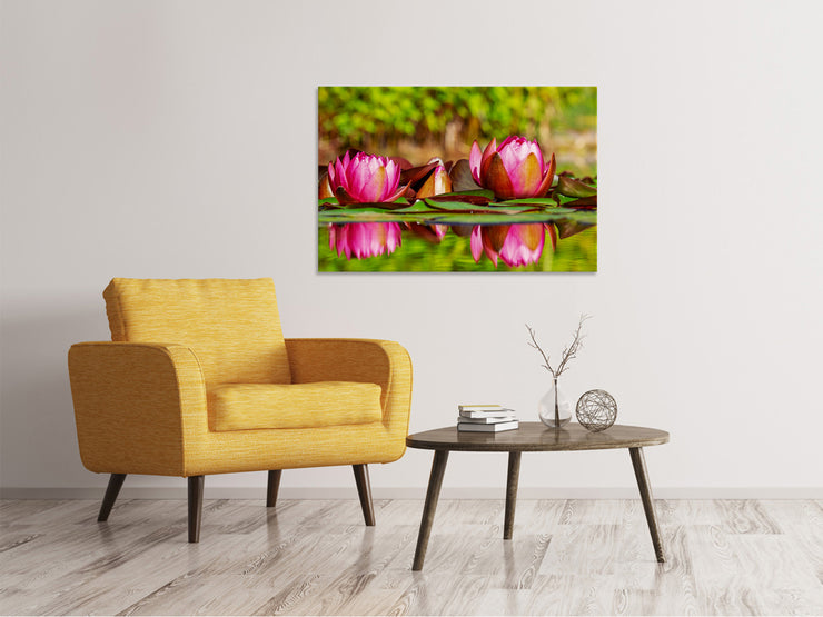 Vászonképek Red water lily trio