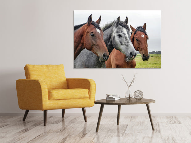 Vászonképek The horse trio