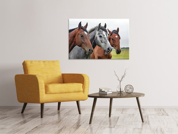 Vászonképek The horse trio