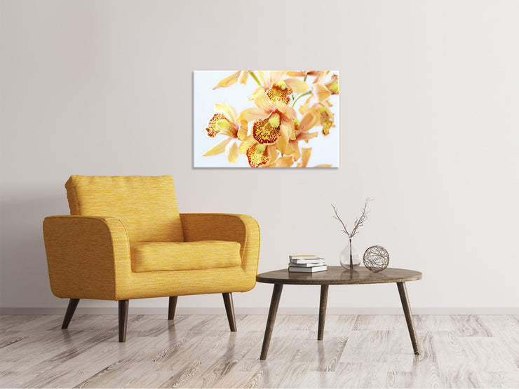 Vászonképek Yellow orchid