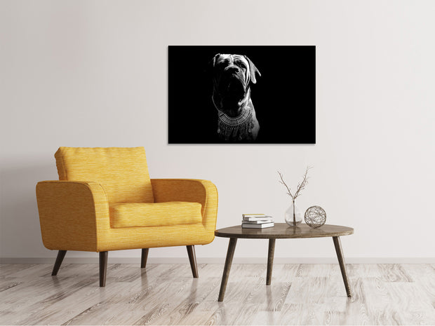 Vászonképek The Boerboel sw