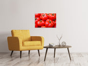 Vászonképek Fresh tomatoes