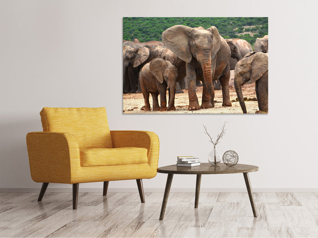 Vászonképek Elephant herd in Africa