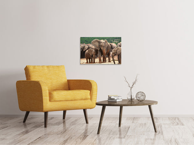 Vászonképek Elephant herd in Africa