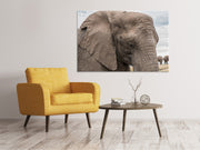 Vászonképek XL elephant