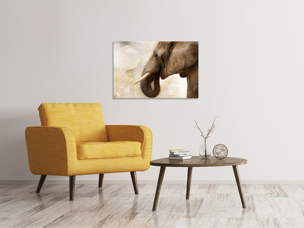 Vászonképek Portrait of an elephant
