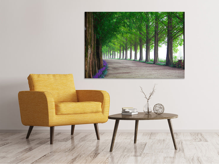 Vászonképek Beautiful tree avenue