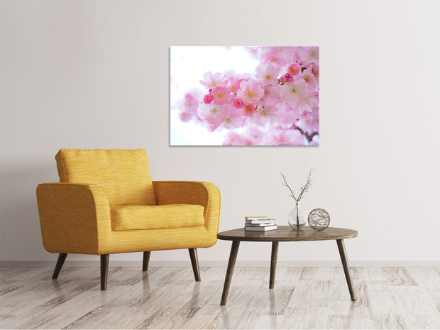 Vászonképek Japanese cherry blossom XL